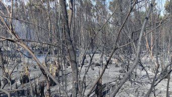 Foto cedida a Subrayado. Incendio de este domingo, cerca de Pando.