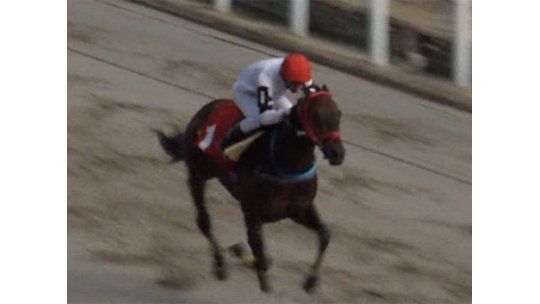 Grandes competencias en Las Piedras, Maroñas y en Porto Alegre