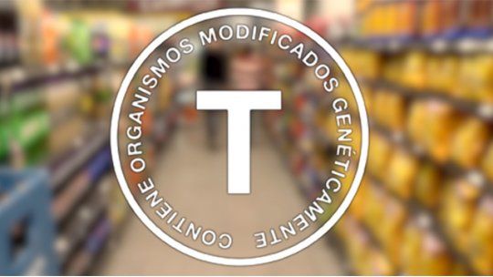 transgenicos