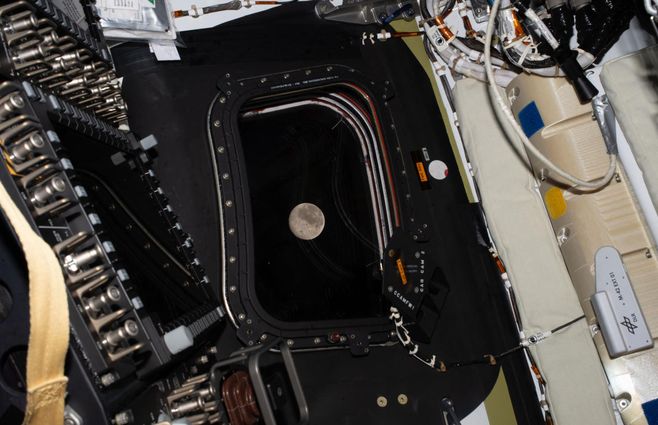 Misión Artemis II. Foto: AFP