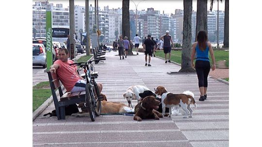 calor, clima,