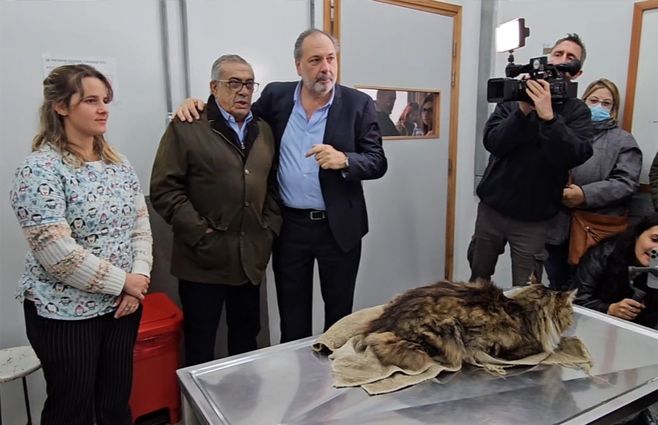 gandini-hospital-veterinario.jpg