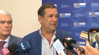 senador da silva aseguro que hubo un operativo politico tenebroso contra besozzi realizado por una fiscal probadamente antiblanca