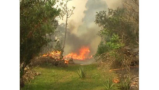 Controlan fuego en Neptunia a tres metros de las viviendas