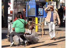 Retiran puestos irregulares de la avenida 8 de Octubre