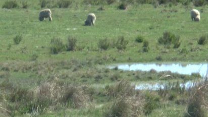condena de 5 anos y medio a quien que mato a vecino tras discusion