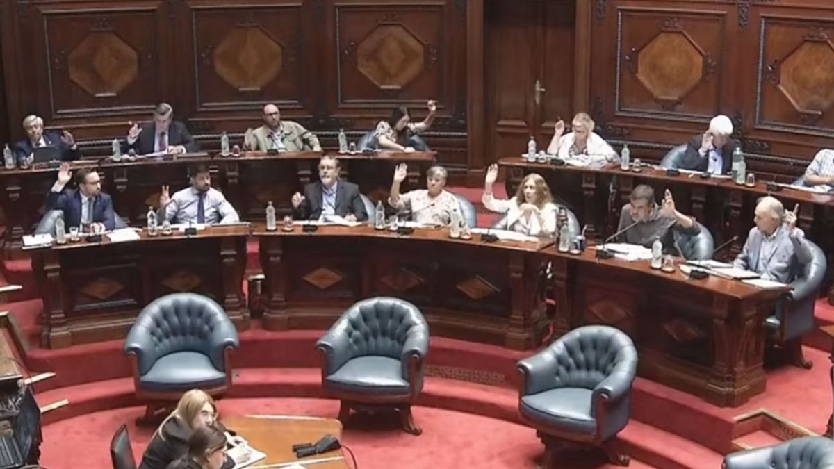 En vivo: el Senado vota el proyecto de ley que ratifica el acuerdo de comercio entre el Mercosur y la Unión Europea