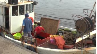 sindicato asegura que no hay falta de pescado y que es viveza criolla para subir precios