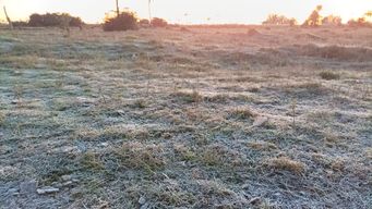 el regreso de aire frio y heladas; el anuncio de nubel cisneros para los proximos dias