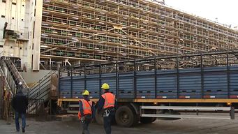 anp y ministerio de ambiente trabajan en un proyecto para reducir olores que produce el ganado en el puerto