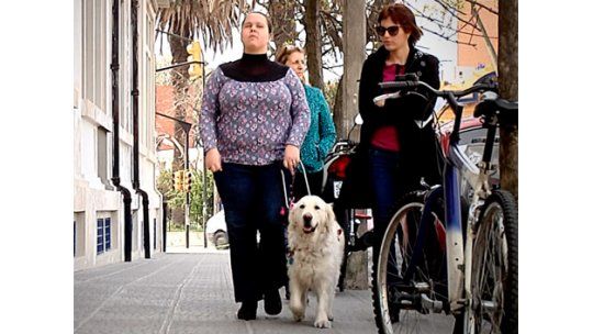 Nuevas normas habilitan a perros guías a entrar a cualquier lugar