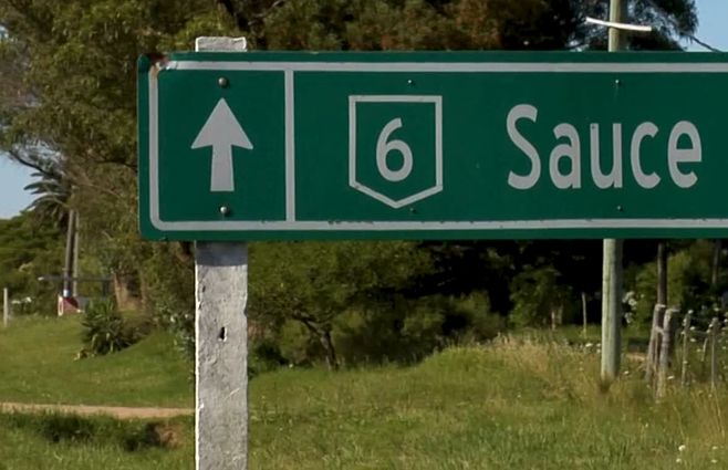 sauce-cartel-ruta-canelones