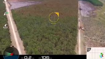 Bomberos hará vigilancia del incendio hasta última hora de la tarde de este viernes.