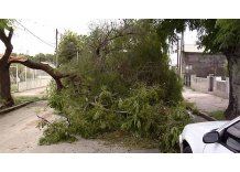 Más de 20 evacuados en Montevideo por el temporal del domingo