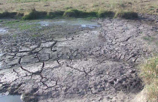 Sequía-campos-enero.jpg