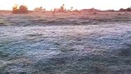 Fin de semana frío, con heladas y posibilidad de lluvias aisladas el domingo; el informe de Nubel Cisneros