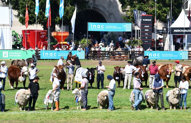 Dia-9-Expo-Prado-2021-80.jpg