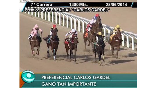 Sir Fever y Santa Guapa consagrados como los mejores dos años