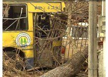 Tras violento choque entre ómnibus, los vecinos piden medidas