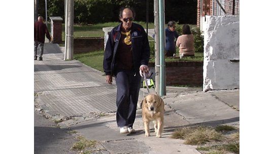 Taxistas piden aviso previo por viajes con perros lazarillos