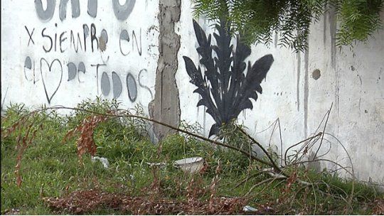 la paloma