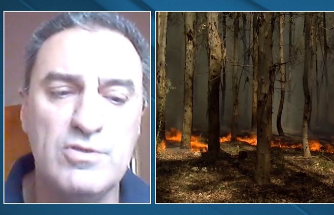 RICARDO-RIAÑO---INCENDIOS-ENERO.jpg