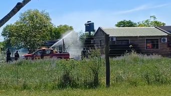 intento sacar una colmena de abejas de su casa con un carton prendido fuego y causo un incendio; resulto lesionado