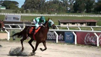 Subrayado | MICRO TURF 16 D OCT