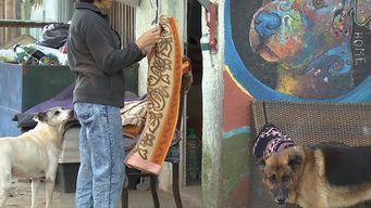 apa, el refugio comenzo su campana de abrigo y necesita la colaboracion de todos