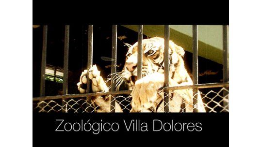 Director del Zoo de Villa Dolores prometió cambios sustanciales