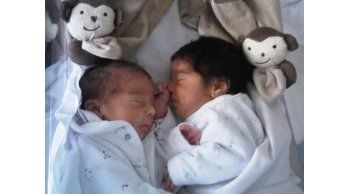 Palito y el Mono Pereira aportaron tres nuevos hinchas celestes