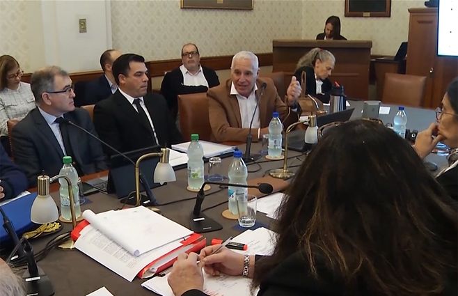 negro-comision-precursores