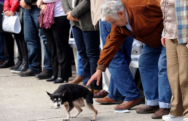 Manuela, mascota de Mujica por 23 años. 
