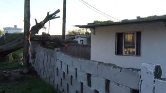 viento fuerte provoco destrozos en casas de 18 de mayo; a maria le tiro el muro y le dano el techo y paredes