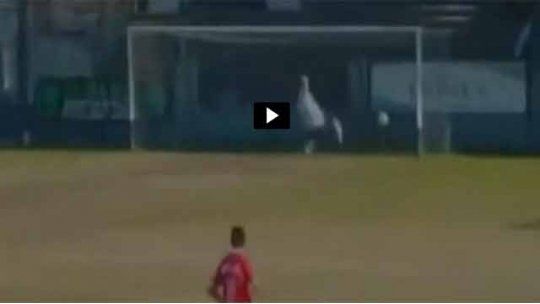 golazo en contra