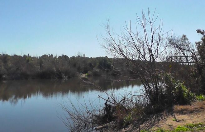 Presidente de OSE dijo que las lluvias "han sido un alivio" pero que la "emergencia hídrica" continúa