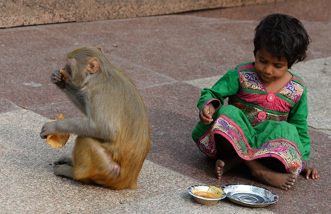 INDIA-MONO-NIÑO-AFP.jpg
