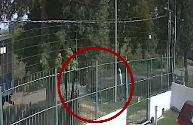 intento-rapiña-sodero-nuevo-paris