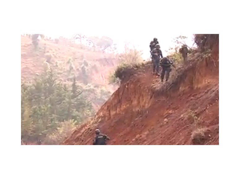 Detienen a cazadores por matar pecaríes reintroducidos al parque Mbopicuá