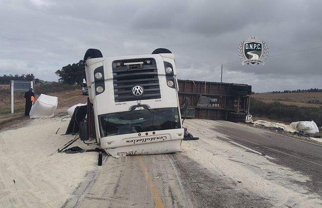 camion-volcò-en-ruta-8