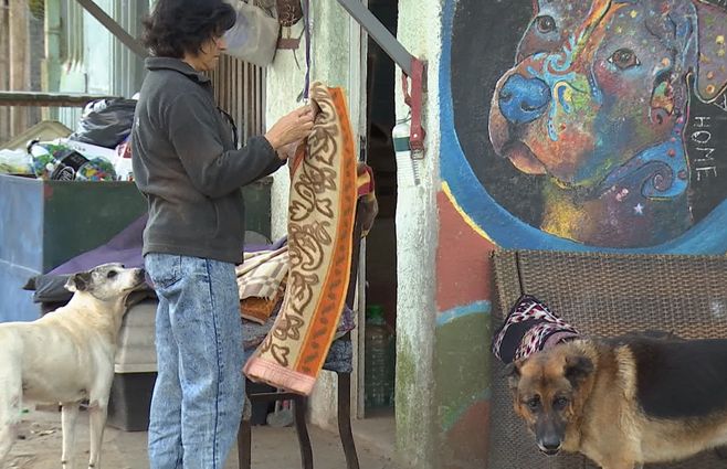 apa-refugio-montevideo-donaciones.jpg