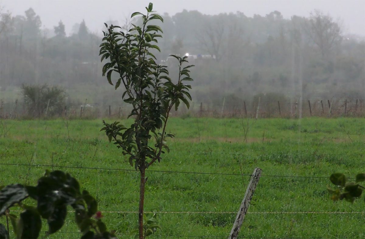 Inumet emite doble advertencia por lluvias: alerta naranja y amarilla en varias zonas del país