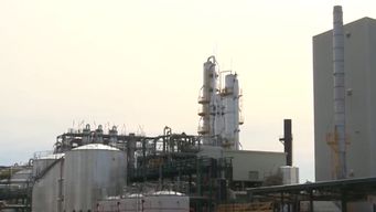 orsi recibio a fancap por futuro de plantas de portland en paysandu; el ejecutivo aseguro que no esta previsto el cierre