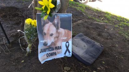 decenas de personas se movilizaron por justicia para compa, el perro muerto por un policia