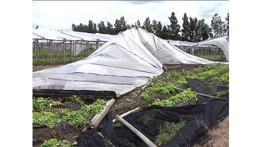 Advertencia naranja por tormentas fuertes y lluvias copiosas