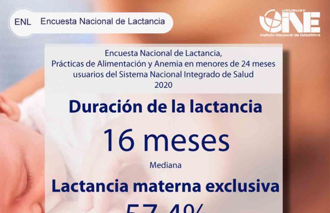 INE-lactancia-encuesta.jpg