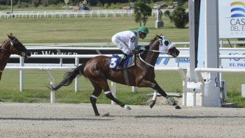 Subrayado | MICRO TURF 11 D FEB