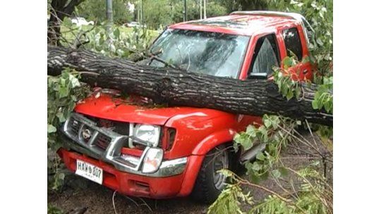 Intendente Coutinho molesto con Meteorología por alerta tardía