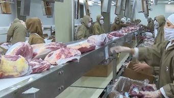 china impondra un arancel adicional de 55% a las importaciones de carne de uruguay y otros paises
