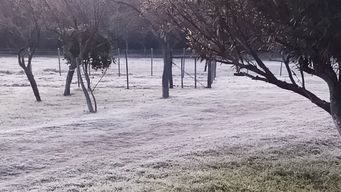 comienzo de semana con heladas, minima de 0° y bajas sensaciones termicas, el miercoles mejora